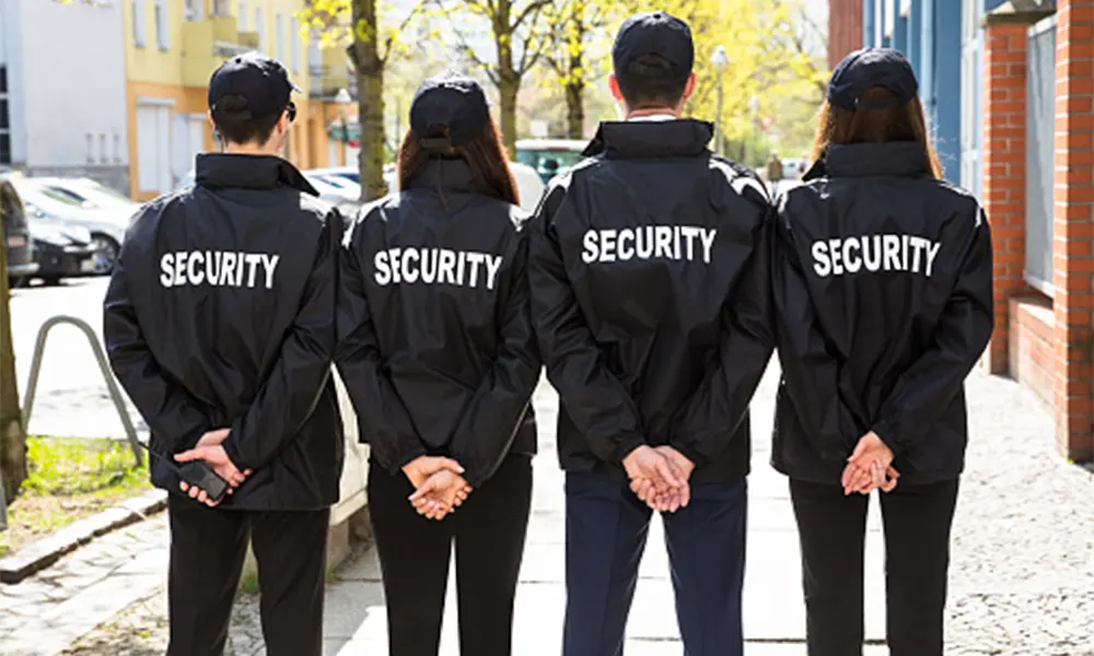 security professionals